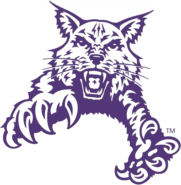 Abilene Christian Wildcats 1997-2012 Partial Logo v2 iron on transfers for clothing